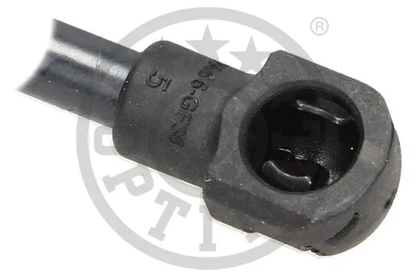 Gas Spring, boot/cargo area