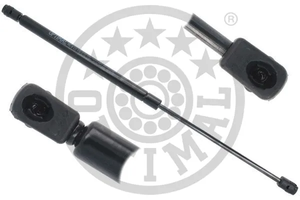 Gas Spring, boot/cargo area (AG-51872)