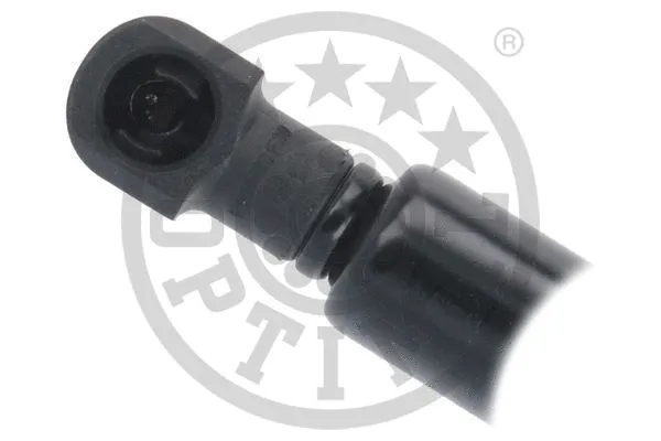 Gas Spring, boot/cargo area