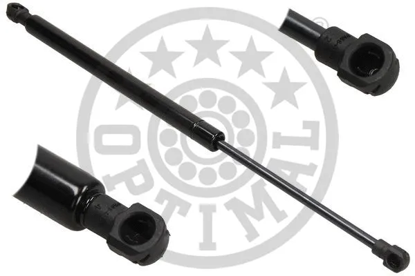 Gas Spring, boot/cargo area (AG-40962)