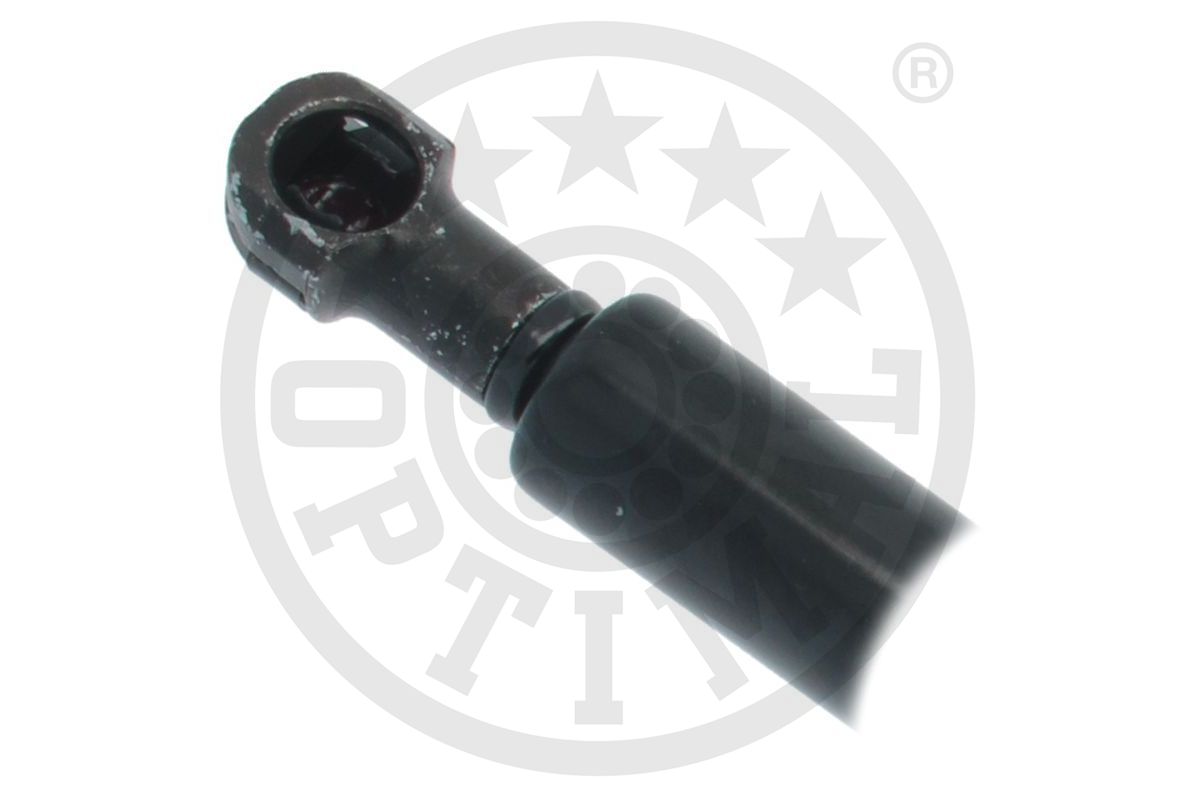 Gas Spring, boot/cargo area