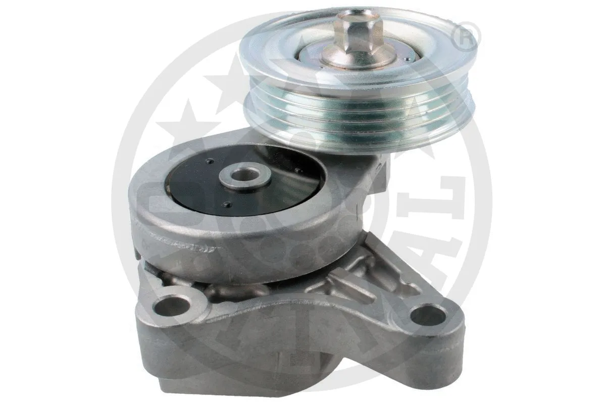 Tensioner Lever, V-ribbed belt (0-N2564)
