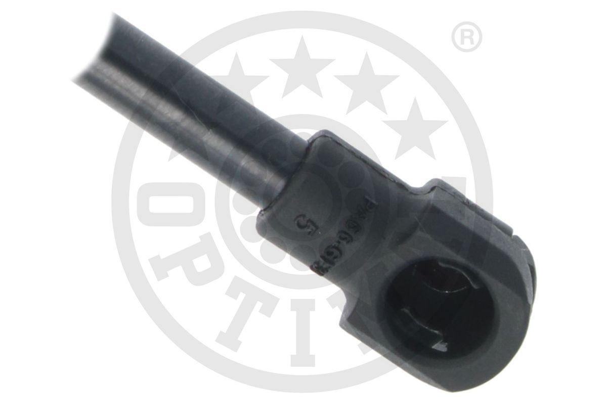 Gas Spring, boot/cargo area