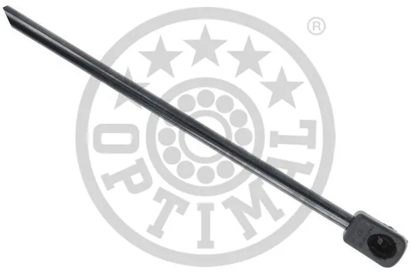 Gas Spring, boot/cargo area