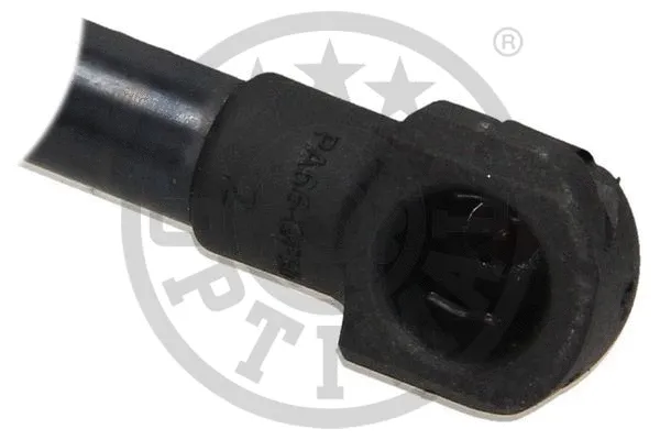 Gas Spring, boot/cargo area