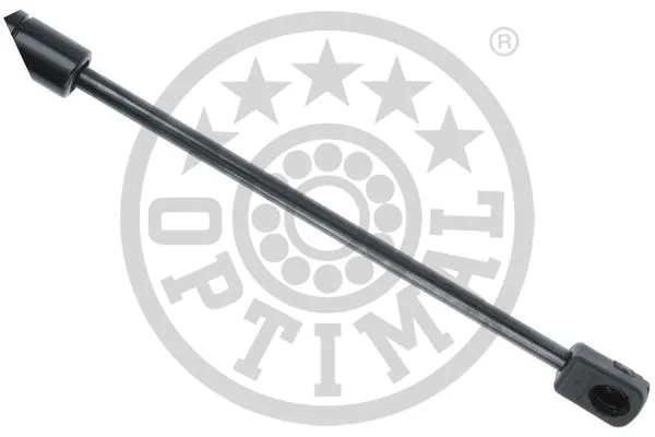 Gas Spring, boot/cargo area