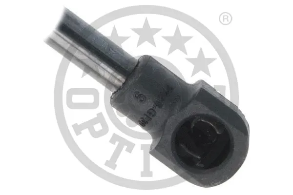 Gas Spring, boot/cargo area