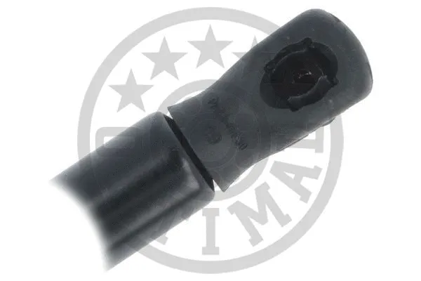 Gas Spring, boot/cargo area