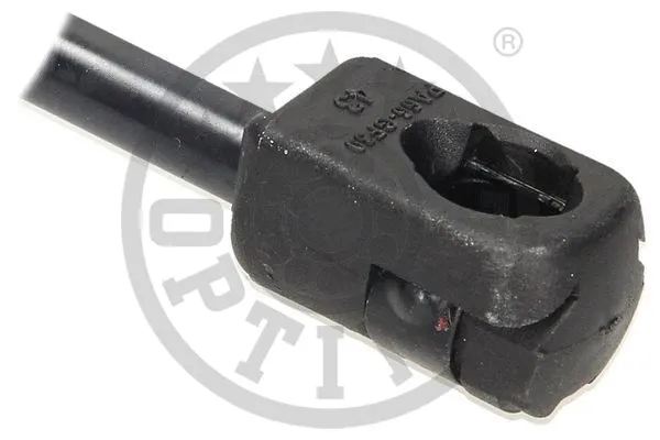 Gas Spring, boot/cargo area