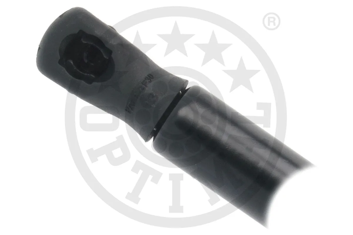 Gas Spring, boot/cargo area