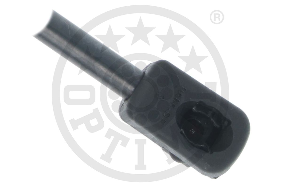 Gas Spring, boot/cargo area