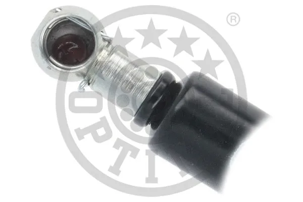 Gas Spring, boot/cargo area