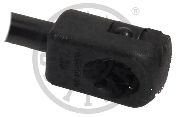 Gas Spring, boot/cargo area