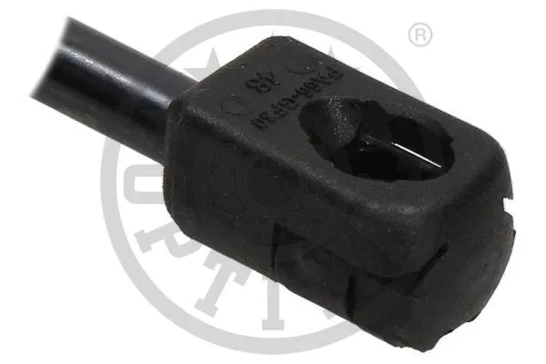 Gas Spring, boot/cargo area