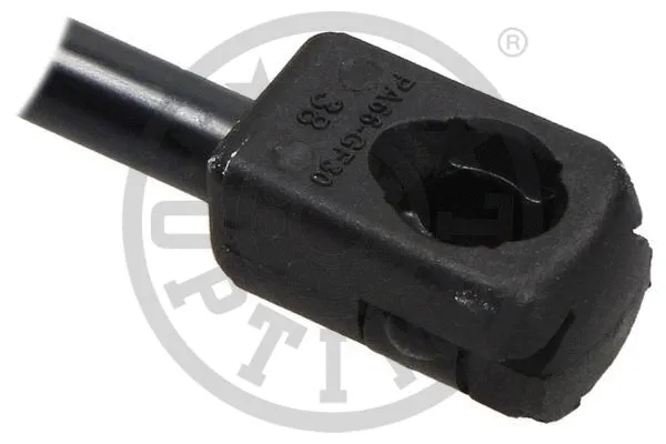 Gas Spring, boot/cargo area