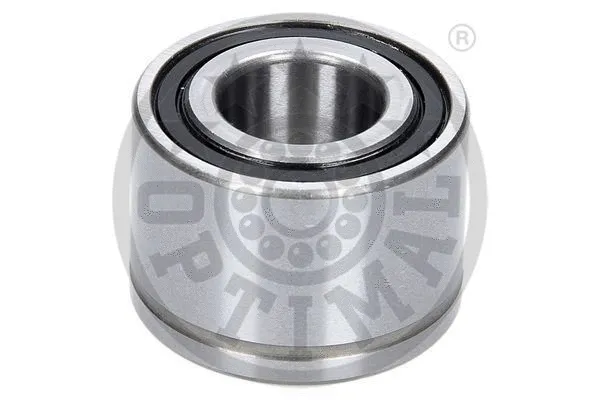 Tensioner Pulley, V-belt