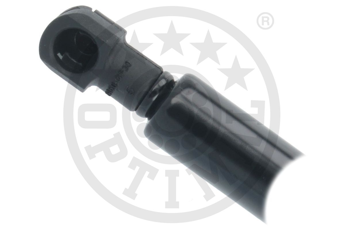 Gas Spring, boot/cargo area