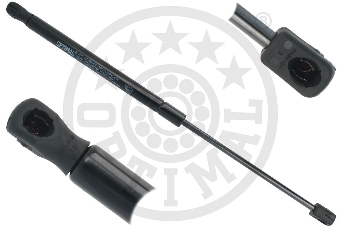 Gas Spring, boot/cargo area (AG-51713)