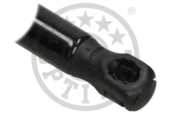 Gas Spring, boot/cargo area