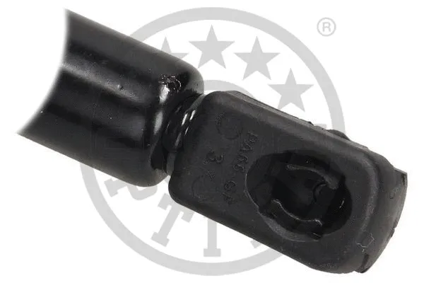 Gas Spring, boot/cargo area