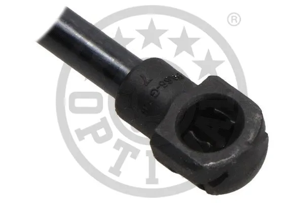 Gas Spring, boot/cargo area