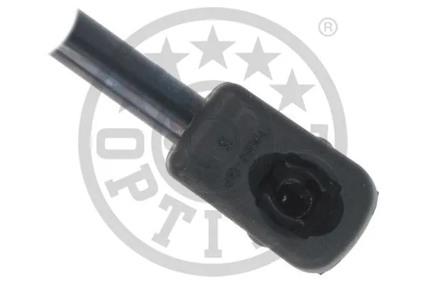 Gas Spring, boot/cargo area