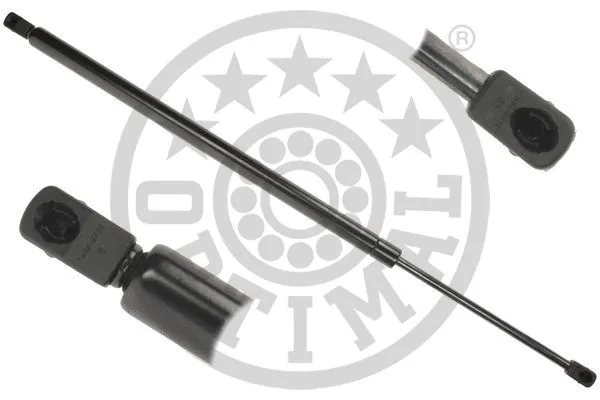 Gas Spring, boot/cargo area (AG-51637)