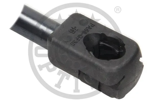 Gas Spring, boot/cargo area