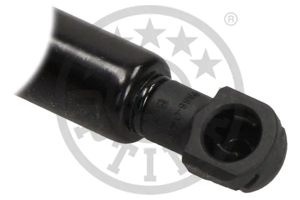 Gas Spring, boot/cargo area