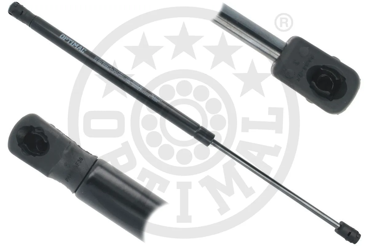 Gas Spring, boot/cargo area (AG-51709)