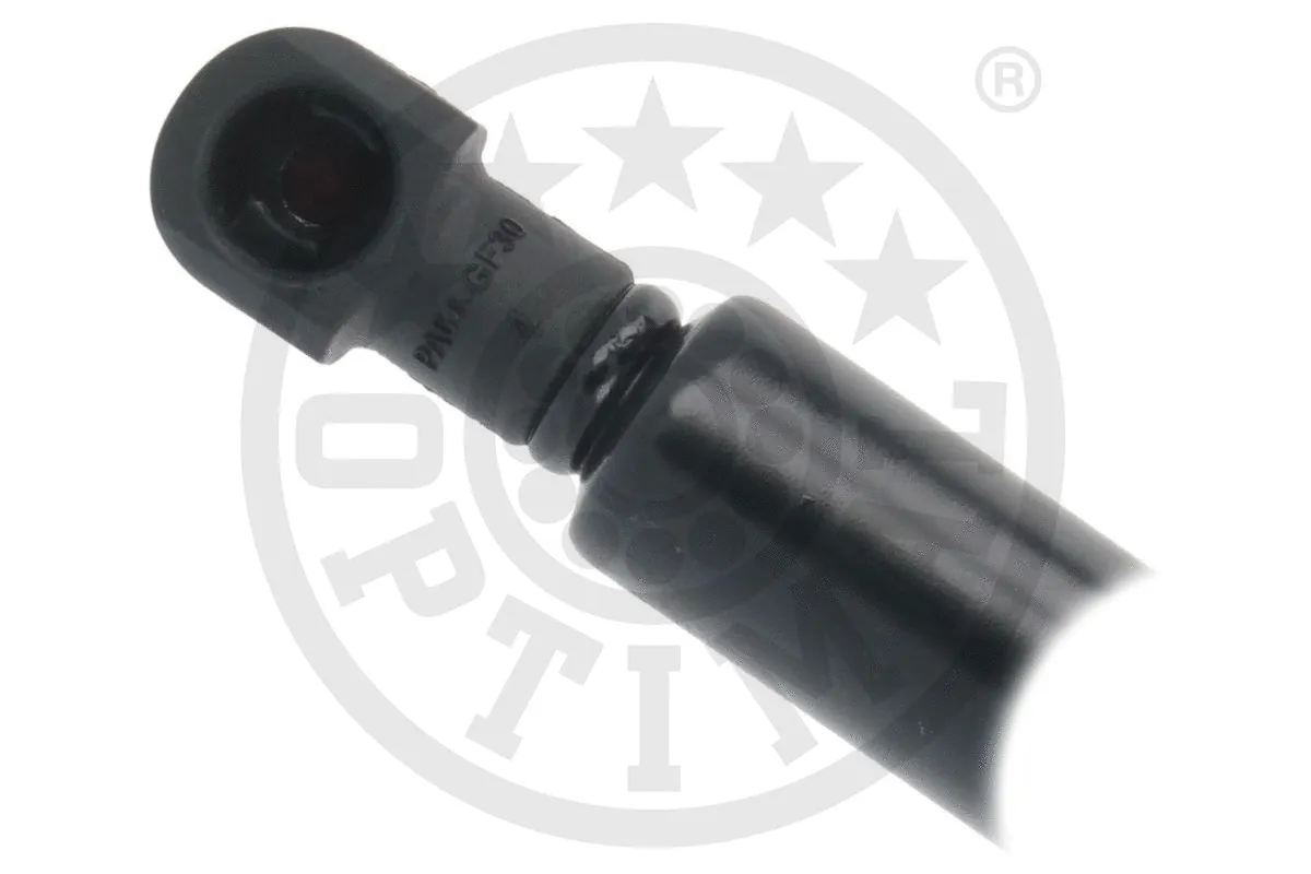 Gas Spring, boot/cargo area