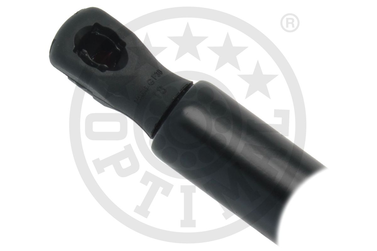 Gas Spring, boot/cargo area