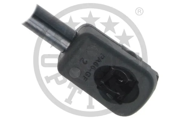 Gas Spring, boot/cargo area