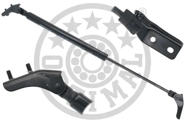 Gas Spring, boot/cargo area (AG-52242)