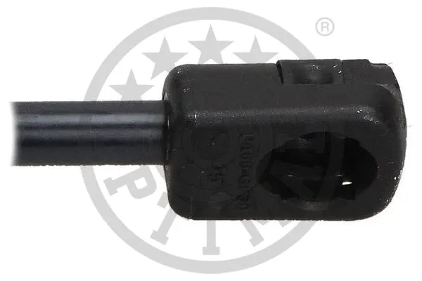 Gas Spring, boot/cargo area