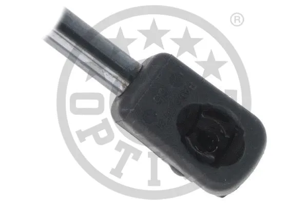 Gas Spring, boot/cargo area