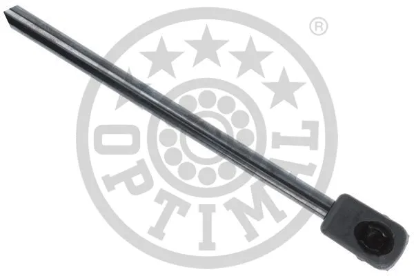 Gas Spring, boot/cargo area
