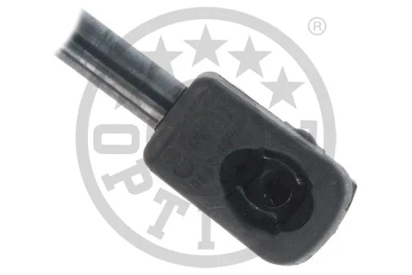 Gas Spring, boot/cargo area