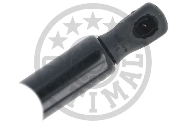 Gas Spring, boot/cargo area