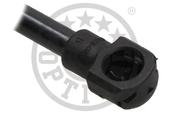 Gas Spring, boot/cargo area