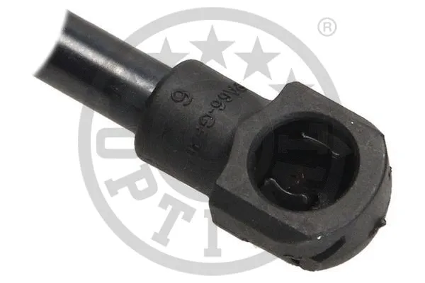 Gas Spring, boot/cargo area