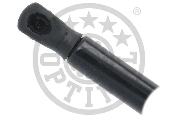 Gas Spring, boot/cargo area