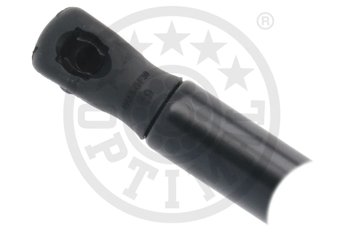 Gas Spring, boot/cargo area
