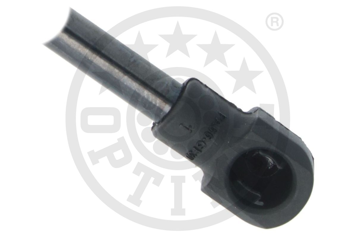 Gas Spring, boot/cargo area