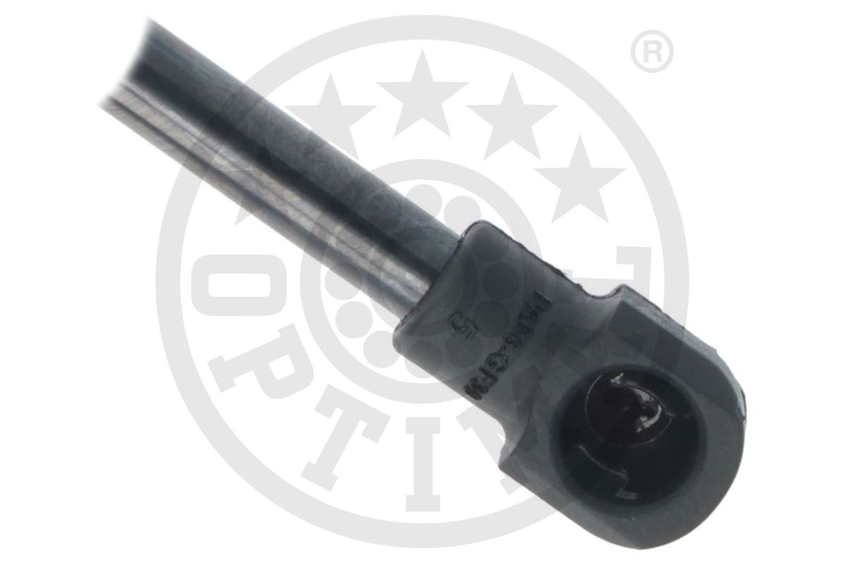 Gas Spring, boot/cargo area