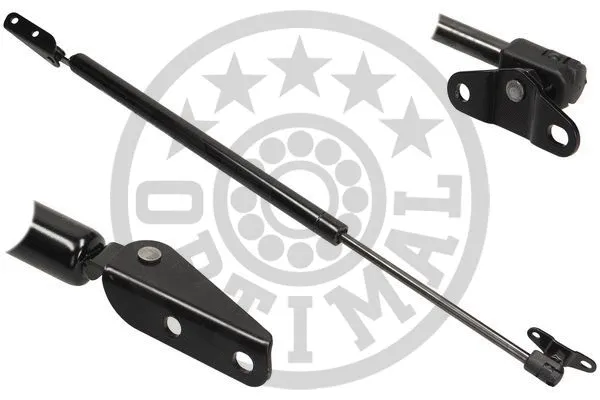 Gas Spring, boot/cargo area (AG-39997)