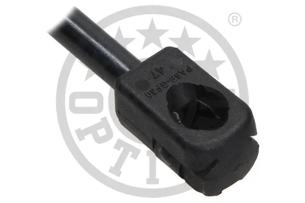 Gas Spring, boot/cargo area