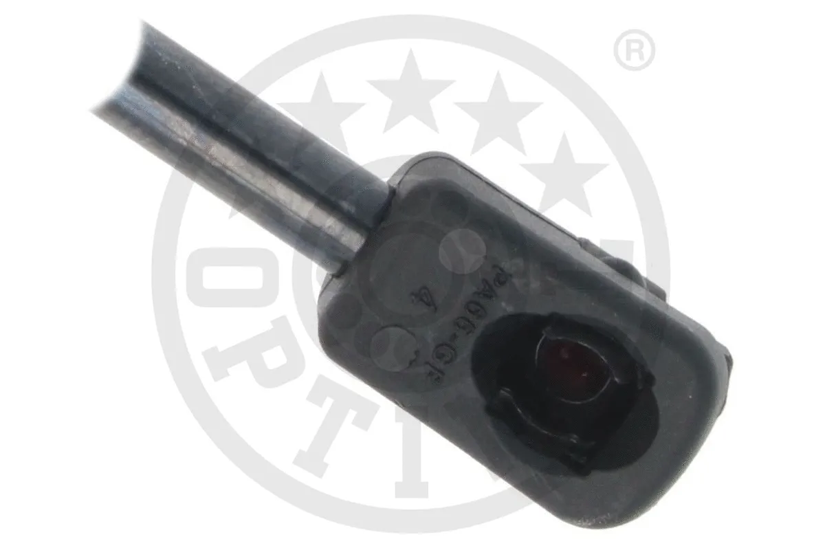 Gas Spring, boot/cargo area