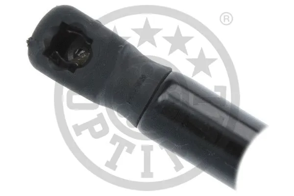 Gas Spring, boot/cargo area