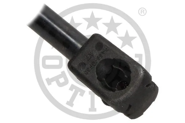 Gas Spring, boot/cargo area